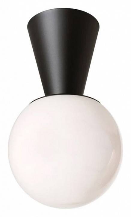 Светильник на штанге ImperiumLoft Cedar & Moss Sierra 48.079-0