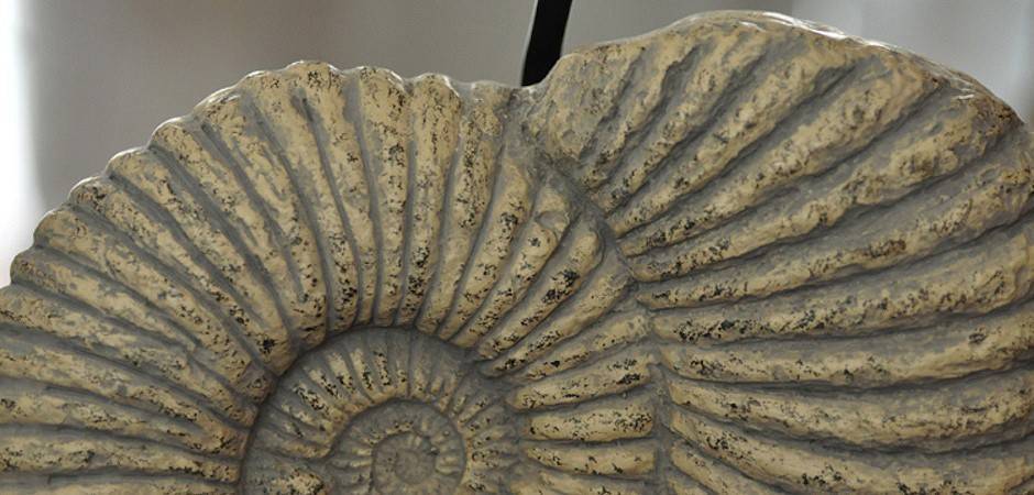 Настольная лампа декоративная Imperiumloft Раковина 43.019.CR.BL.T1B