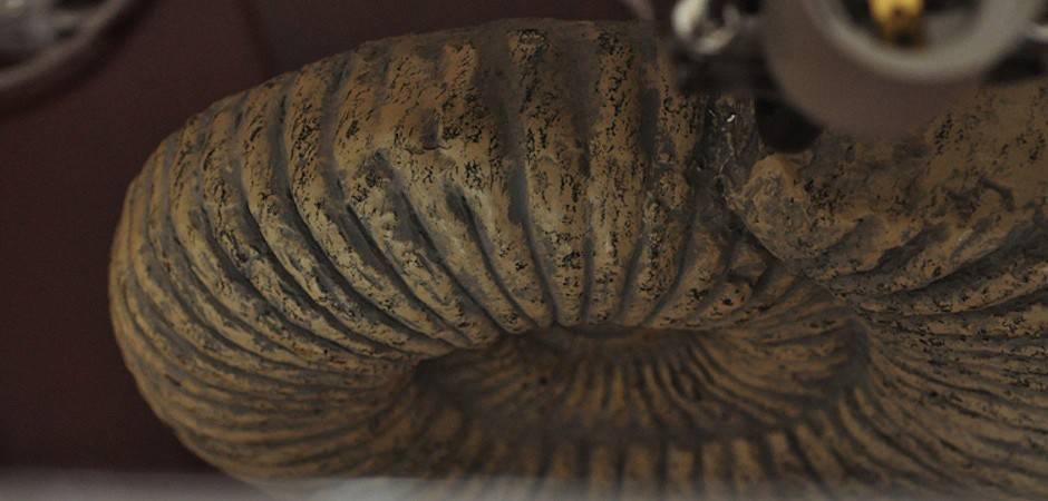 Настольная лампа декоративная Imperiumloft Раковина 43.019.CR.BL.T1B