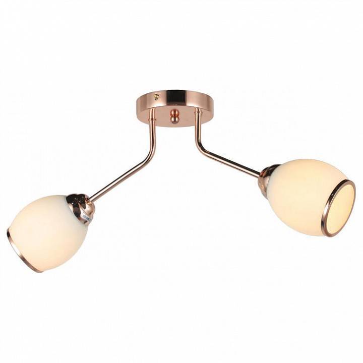 Накладной светильник Imex MD.0538-2-S-PKGD