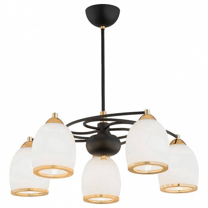 Люстра на штанге Imex MD.8388 MD.8388-5-P-BK