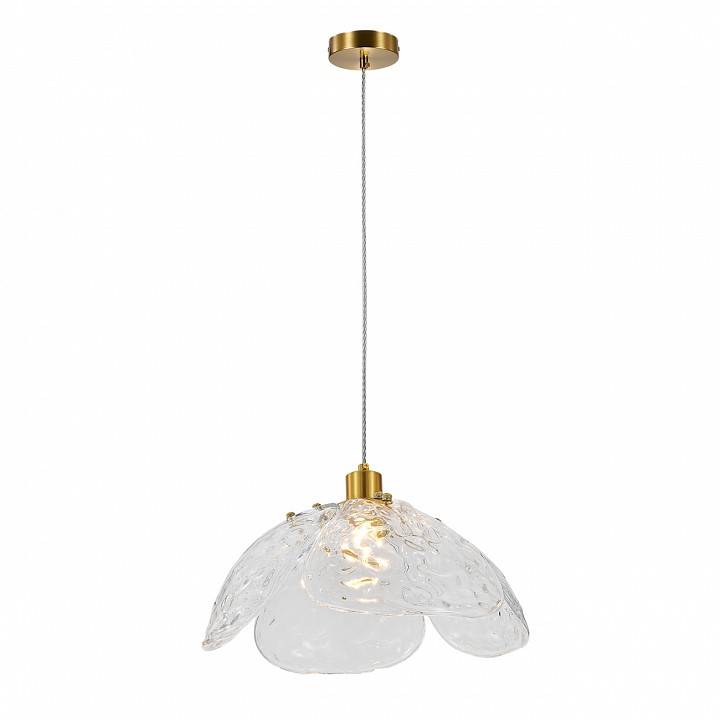 Подвесной светильник Indigo Amore 11051/1P Clear