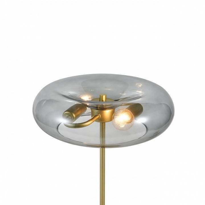 Настольная лампа декоративная Indigo Leggero 11062/2T Smoke