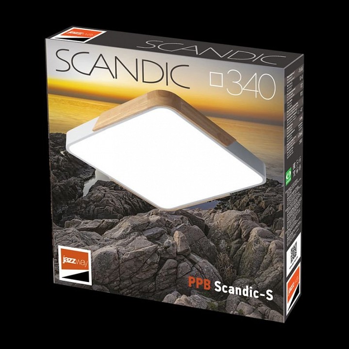 Накладной светильник Jazzway Sсandic 5037311