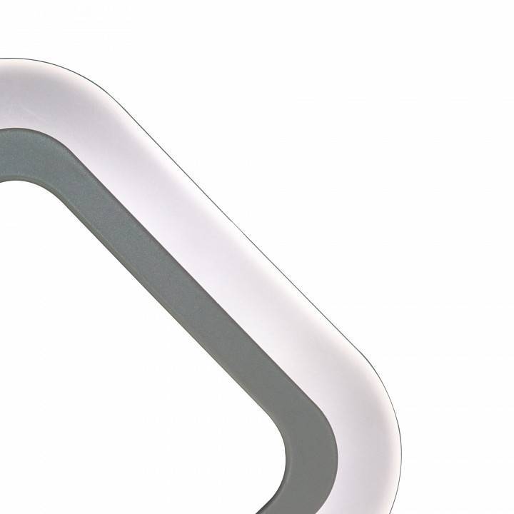 Светильник накладной Natali Kovaltseva Led Lamps 81138/1W