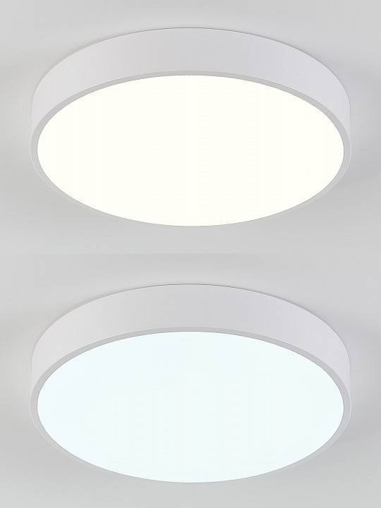 Накладной светильник Natali Kovaltseva LED LAMPS 81111/5C