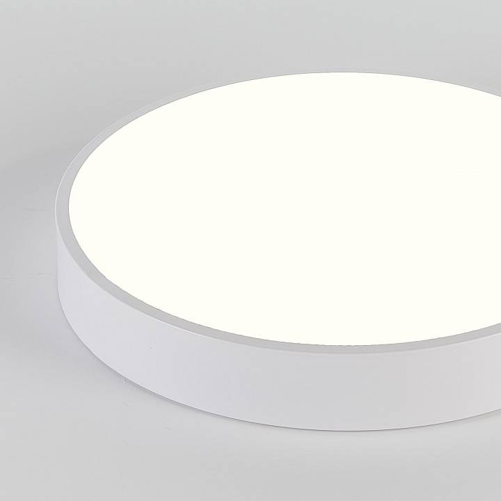 Накладной светильник Natali Kovaltseva LED LAMPS 81111/5C