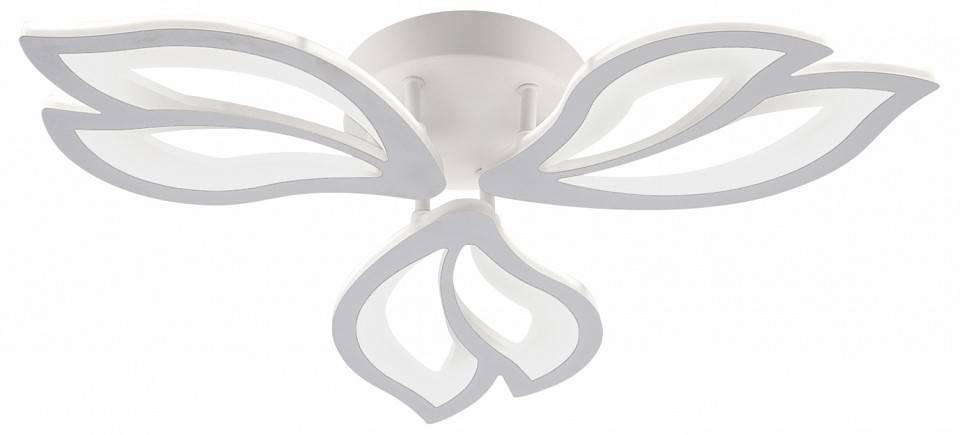 Потолочная люстра Natali Kovaltseva FORTUNA LED LAMPS 81107/2C