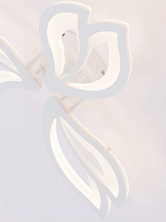 Потолочная люстра Natali Kovaltseva FORTUNA LED LAMPS 81107/2C