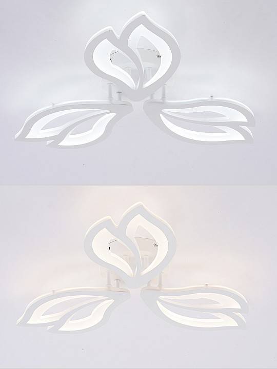 Потолочная люстра Natali Kovaltseva FORTUNA LED LAMPS 81107/2C