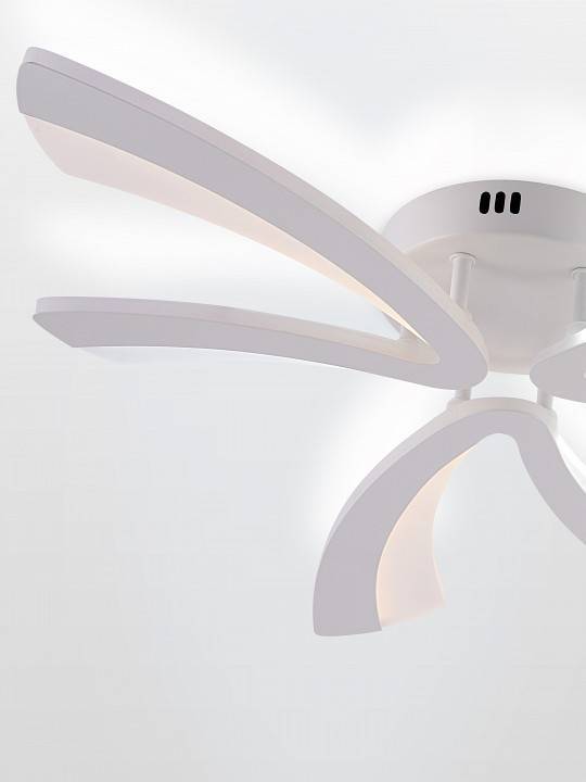 Потолочная люстра Natali Kovaltseva VIO LED LAMPS 81453