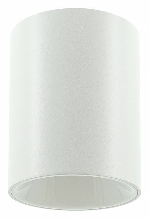 Накладной светильник LIGHTERA Shamrock LE200CL-1W