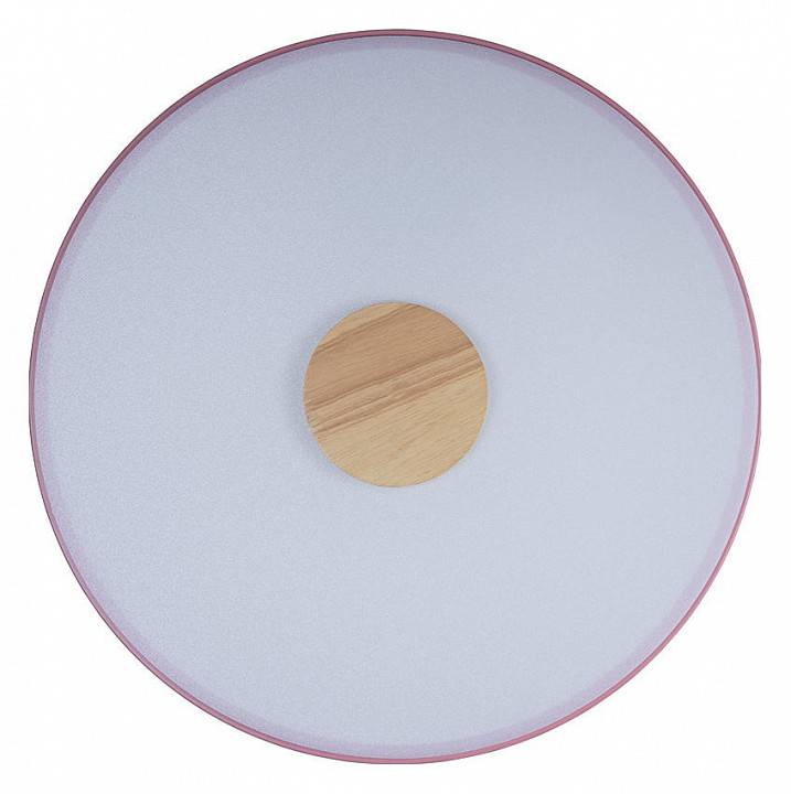 Накладной светильник Loft it Axel 2 10003/24 Pink