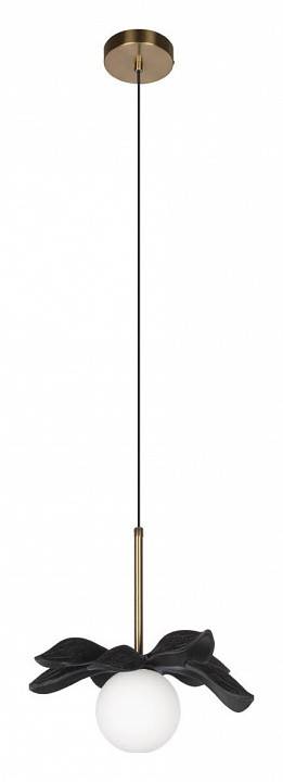 Подвесной светильник Loft it Monro 10213/A Black