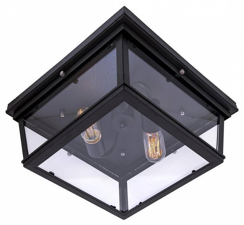 Накладной светильник Loft it Modern Filament LOFT3110-2C