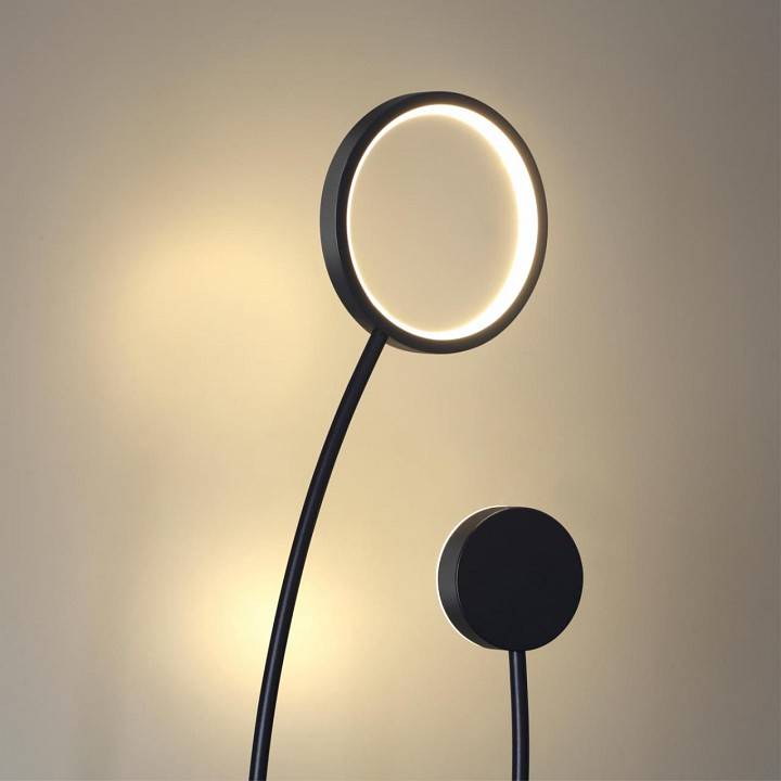 Торшер Lumion Ledio 5673/14FL