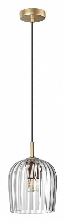 Подвесной светильник Lumion Ellie 6551/1A