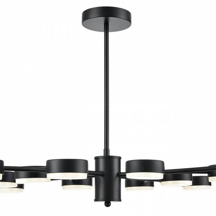 Люстра на штанге Lumion Torina 8117/12