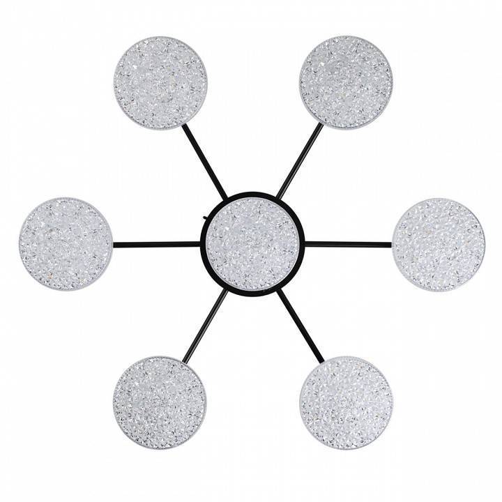 Потолочная люстра Lumion Didana 8236/7CL