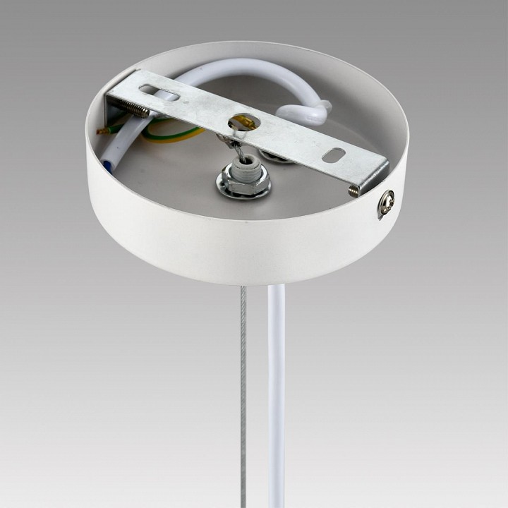 Подвесной светильник Lumion TORINA 8265/5