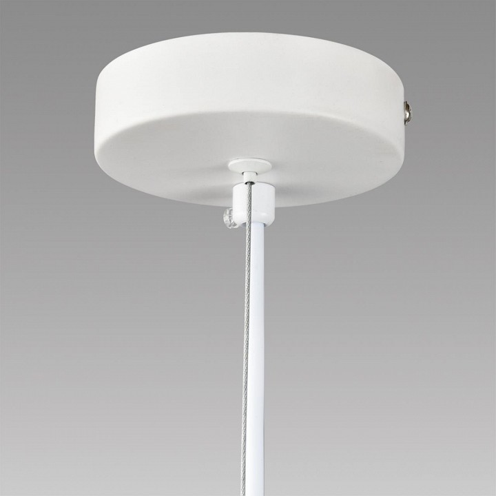 Подвесной светильник Lumion TORINA 8265/5