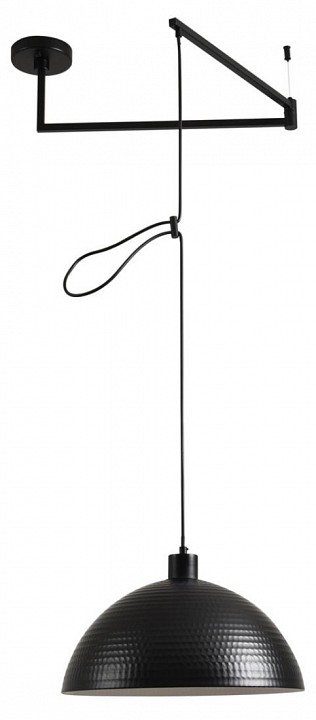 Подвесной светильник Lumion MODERNI 8321/1C