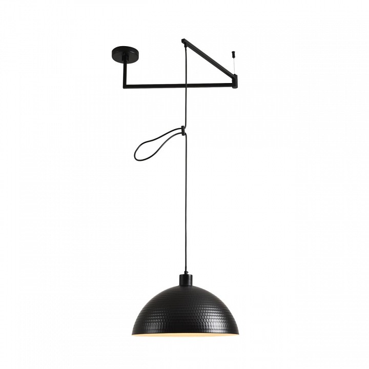 Подвесной светильник Lumion MODERNI 8321/1C