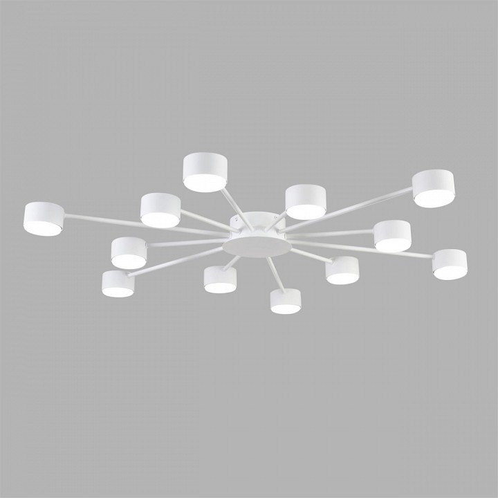 Потолочная люстра Lumion TORINA 8343/12C