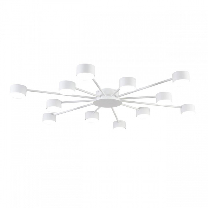 Потолочная люстра Lumion TORINA 8343/12C