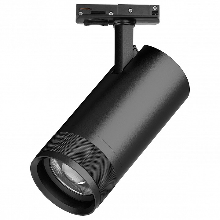 Светильник на штанге Lightstar Canno Pro C4307SS