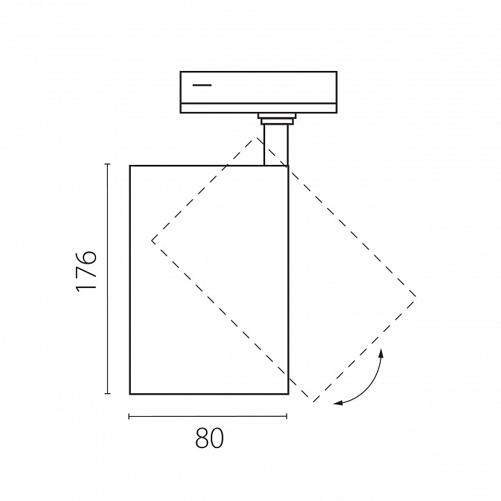 Светильник на штанге Lightstar Canno Pro C4307SS
