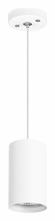 Подвесной светильник Lightstar Rullo RP436