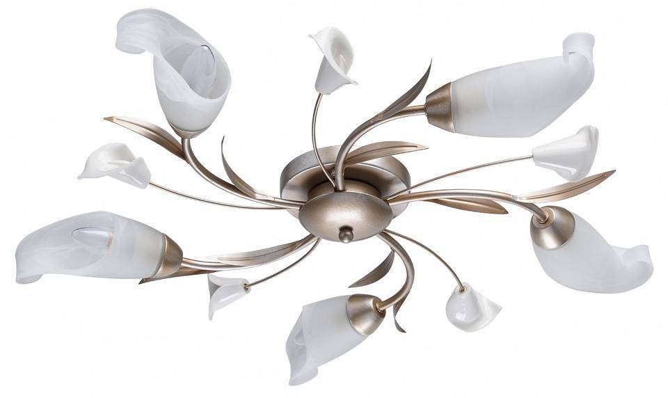 Потолочная люстра MW-Light Восторг 5 ламп 242016205