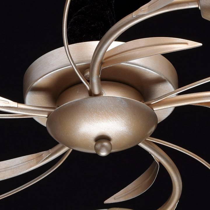 Потолочная люстра MW-Light Восторг 5 ламп 242016205