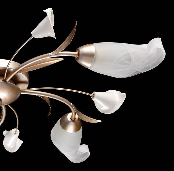 Потолочная люстра MW-Light Восторг 5 ламп 242016205