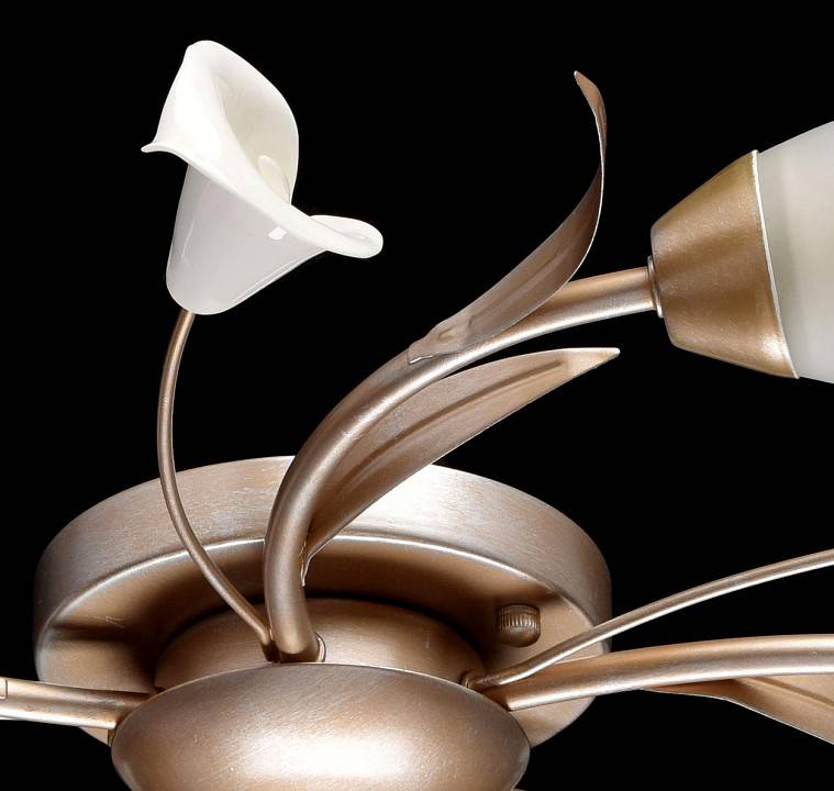 Потолочная люстра MW-Light Восторг 5 ламп 242016205