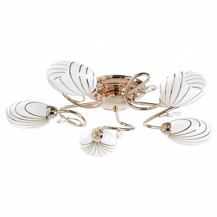 Потолочная люстра MW-Light Фиеста 10 5 ламп 267012005