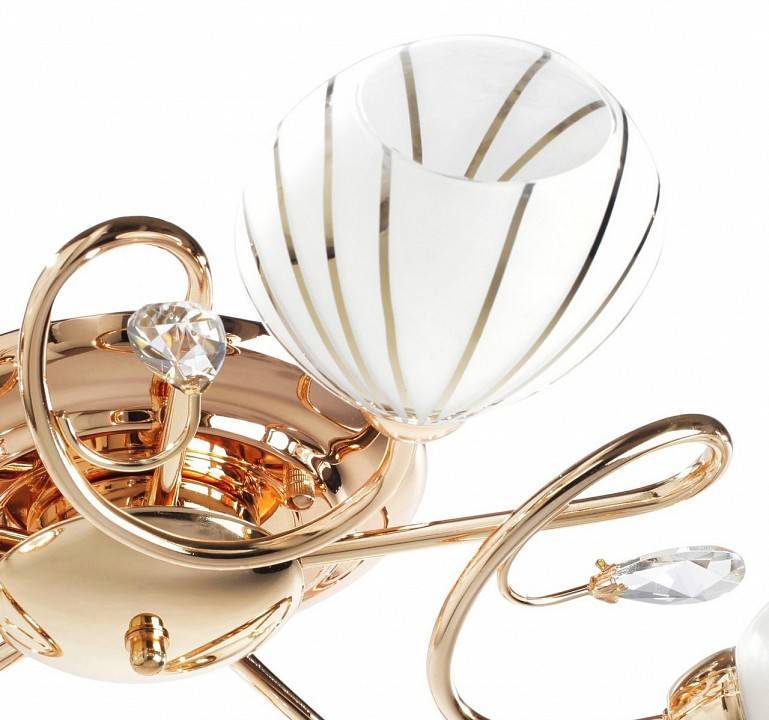 Потолочная люстра MW-Light Фиеста 10 5 ламп 267012005