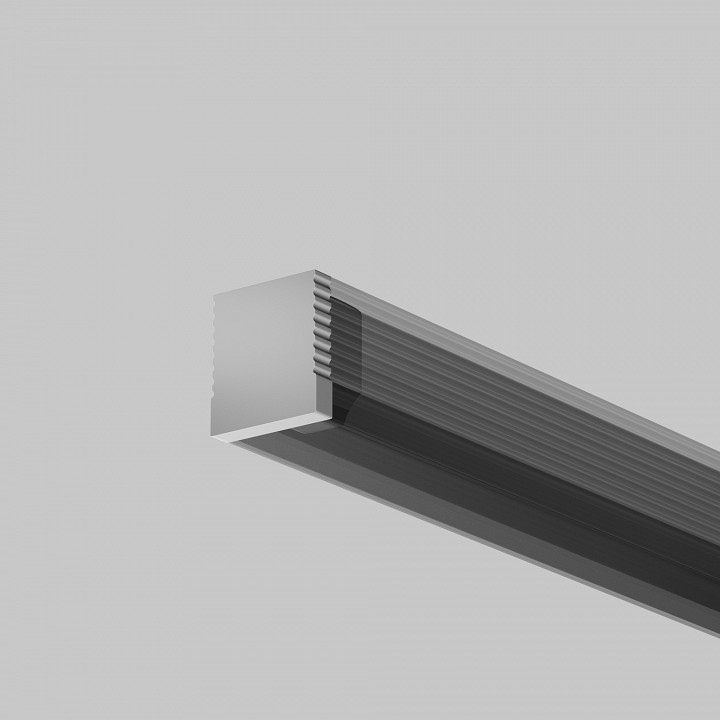 Заглушка для профиля Maytoni TRA012P серебристая 642069