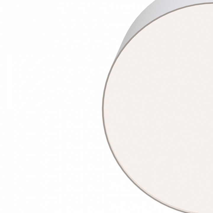 Накладной светильник Maytoni Technical Zon C032CL-L12W4K