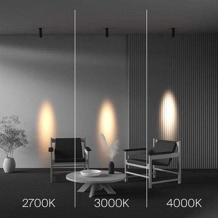 Потолочный светильник Maytoni Technical Focus LED 12 Вт 3000K C055CL-L12W3K-SS-B