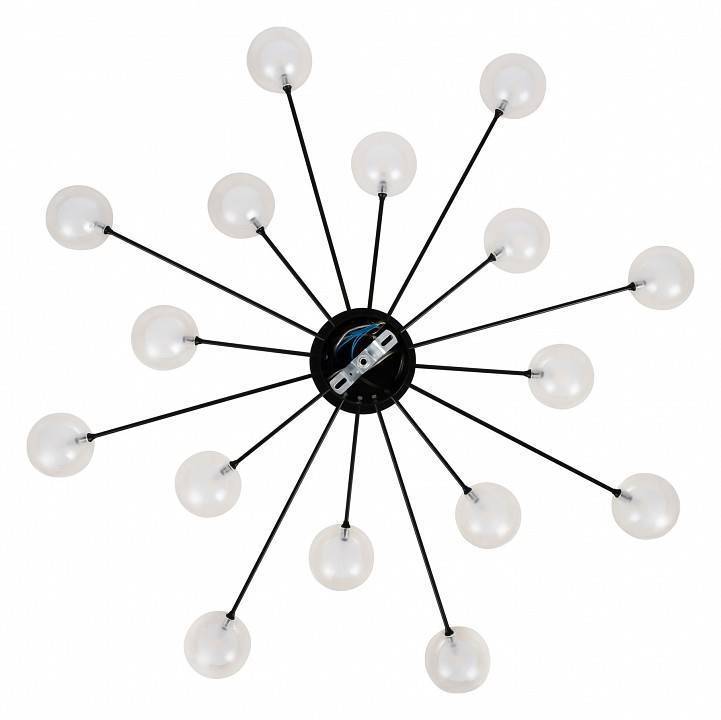 Потолочная люстра Freya Celebrity FR5242CL-16B1