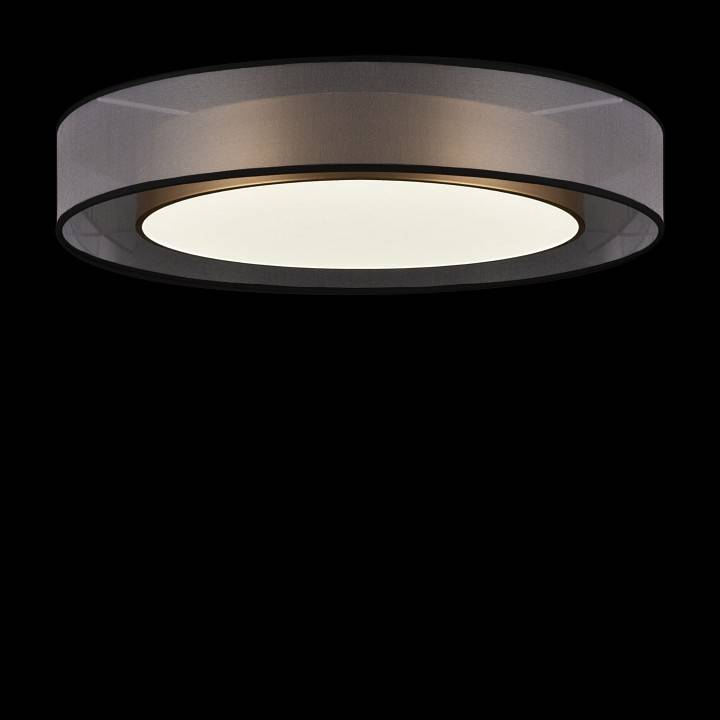 Накладной светильник Freya Zoticus FR6005CL-L48G