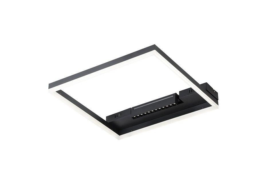 Накладной светильник Freya Frame FR6084CL-L82B