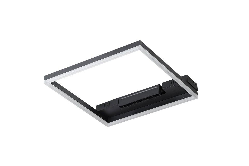 Накладной светильник Freya Frame FR6084CL-L82B