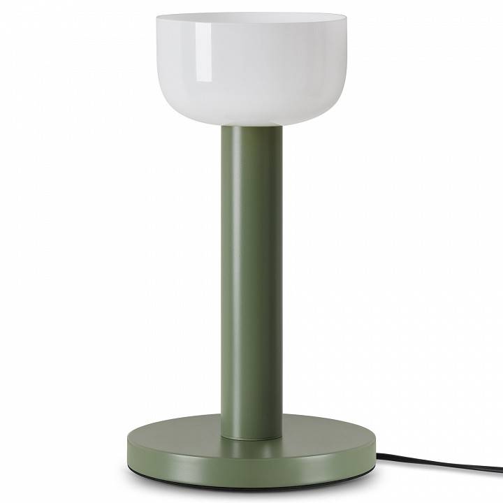 Настольная лампа декоративная Freya Barries FR6185TL-L5GN