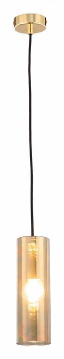 Подвесной светильник Maytoni Gioia 1 лампа P011PL-01G