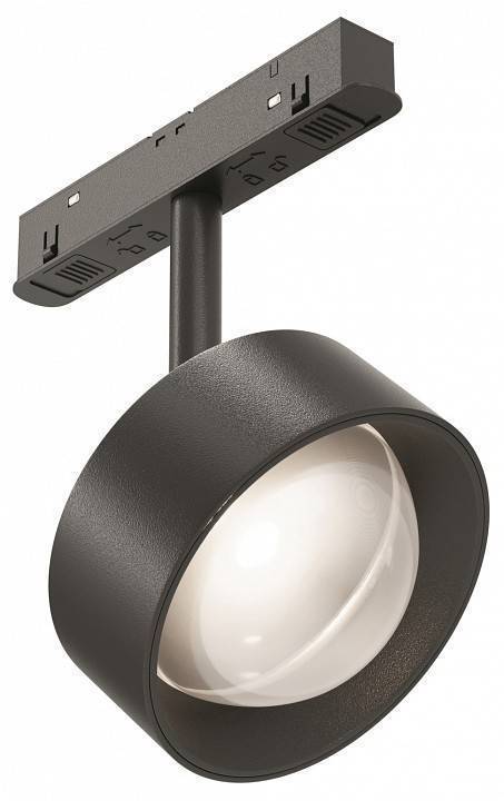 Светильник на штанге Maytoni Lens TR217-2-15W4K-B