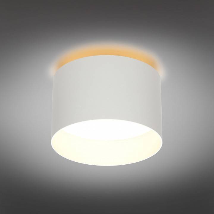 Накладной светильник Omnilux Stezzano OML-100419-16