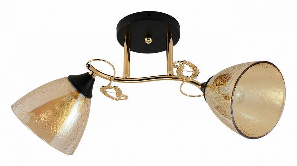 Светильник на штанге Reluce 01321-0.3-02 FGD+BK